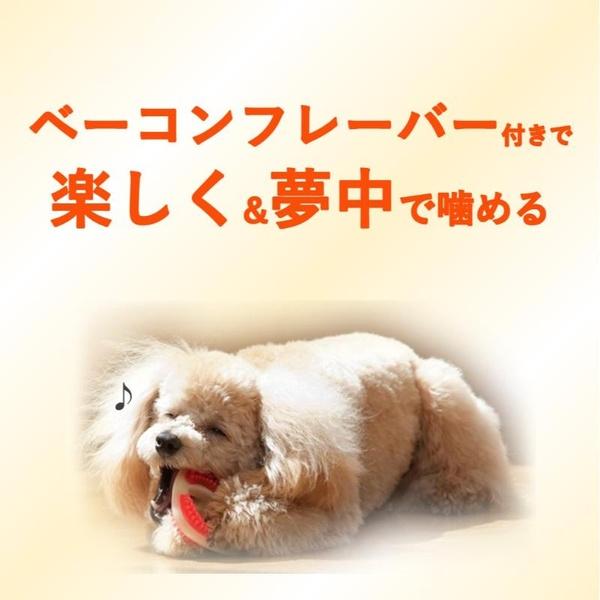 (48個セット) 住商アグロ Hartz チューデント 歯みがきおもちゃ ティーザーS-M ベーコンフレーバー_2