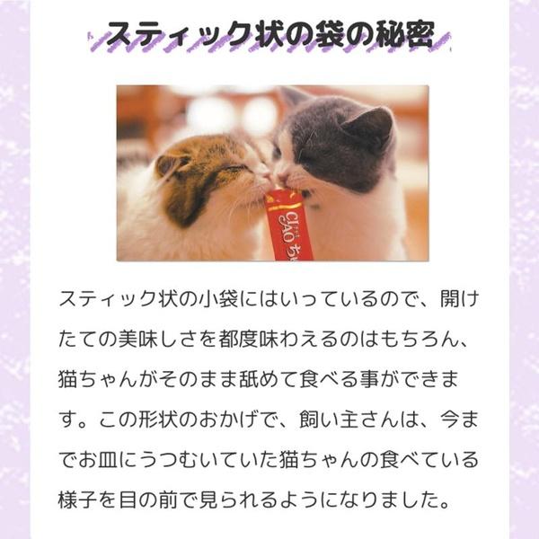 (3個セット) いなばペットフード CIAO ちゅ〜るごはん まぐろ・かつおバラエティBOX 14g×36本_3