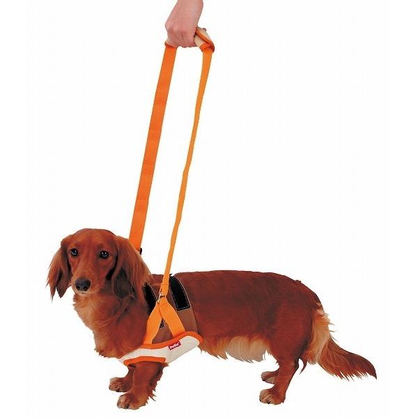 (6個セット) ペティオ zuttone ずっとね 老犬介護用 歩行補助ハーネス 前足用K M_1