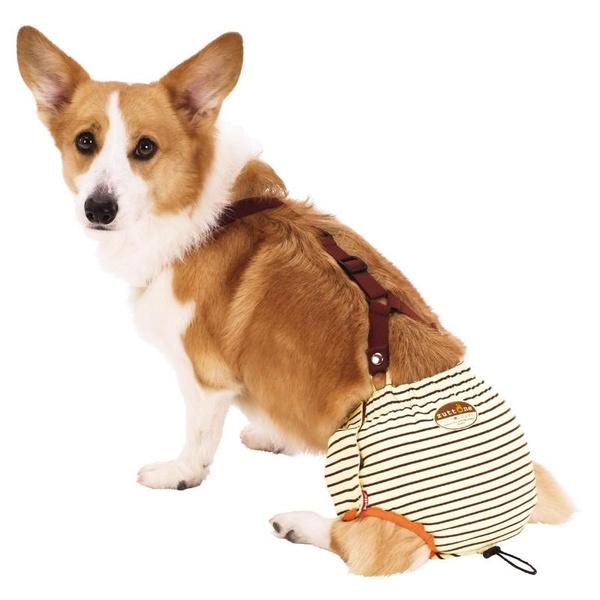(6個セット) ペティオ zuttone ずっとね 老犬介護用 おむつパンツK L_1