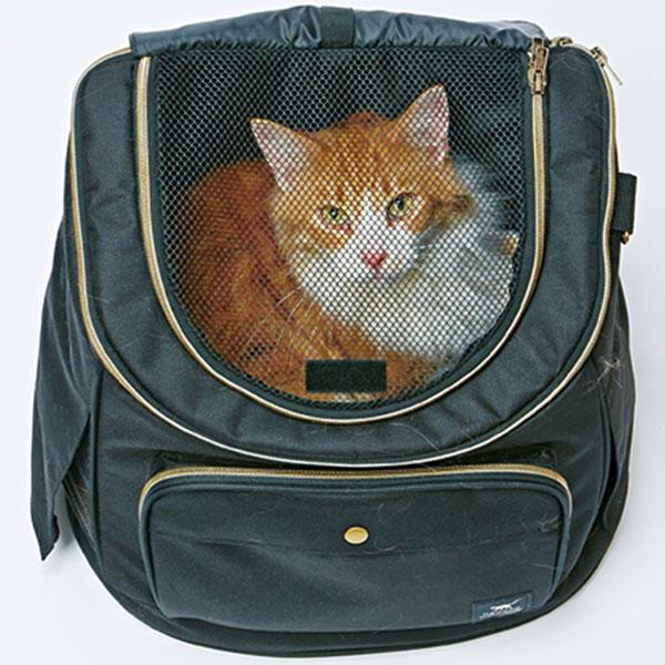 (3個セット) ペティオ necoco ネココ リュックキャリー ブラック ベッド・キャリー 全猫種 から8kg Petio W25492の画像