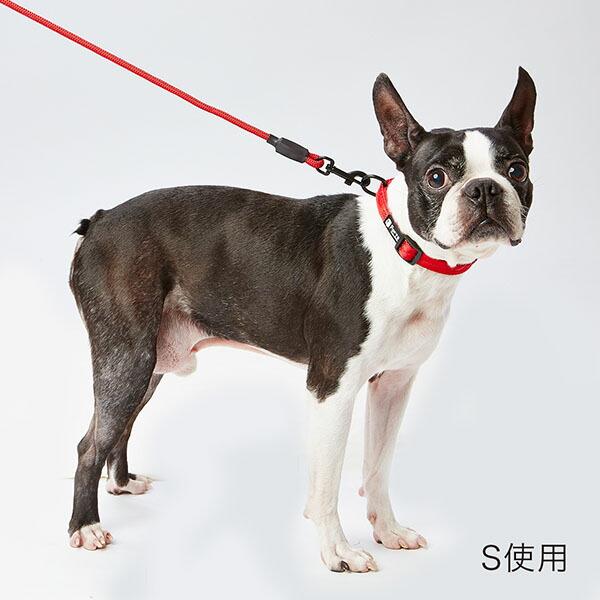(12個セット) ペティオ Portaカラー L レッド 犬用首輪 ペット用品 サイズ 平首輪 大型犬用 カラー ポルタ ペット 犬用 大型犬 テープ 首輪