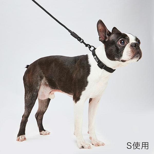 (12個セット) ペティオ Portaカラー L ブラック 犬用首輪 ペット用品 サイズ 平首輪 大型犬用 カラー ポルタ ペット テープ 首輪