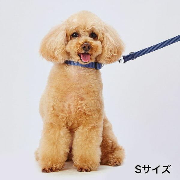 Petio（ペティオ） アドメイト ソフトスキップカラーS ブルー 犬用首輪