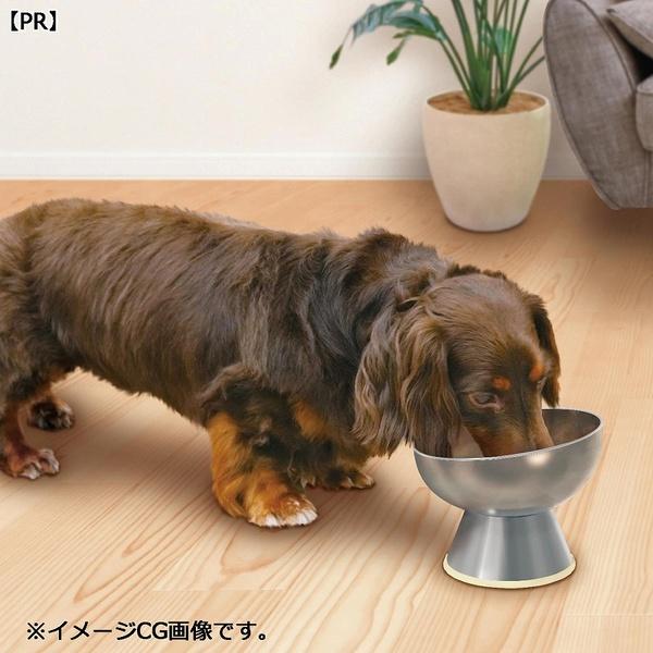 (6個セット) ドギーマンハヤシ ステンレスのテーブル食器 犬用 M_1
