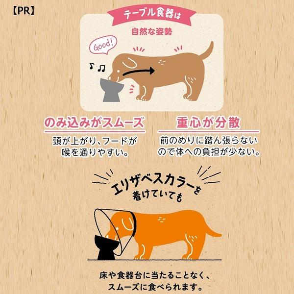 (6個セット) ドギーマンハヤシ ステンレスのテーブル食器 犬用 M_4