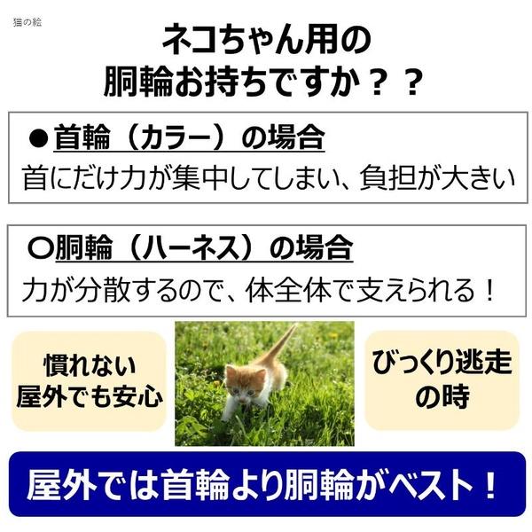 (6個セット) アース・ペット ターキー ねこモテ ソフト胴輪付引ひも ネコテガ ミニ猫用 紺黄_3