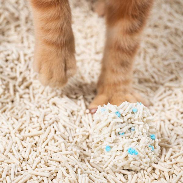(6個セット) PIDAN JP おからミックス猫砂 (潜血チェック顆粒入り) 2.4kgの画像