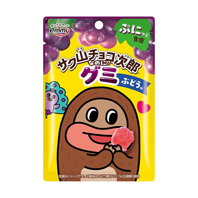 正栄デリシィ サク山チョコ次郎グミ ブドウ味 47g×10袋 : スナック菓子