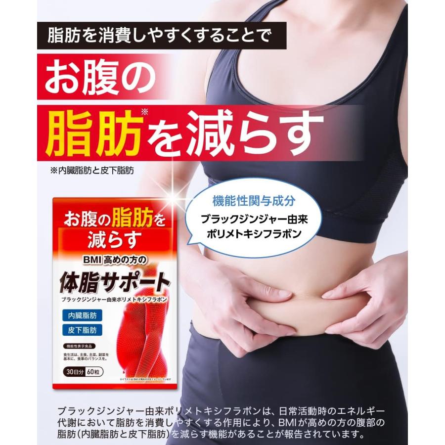 体脂サポート 90日分 180粒 お腹の脂肪を減らす 内臓脂肪 皮下 体脂サポート 90日分 180粒 お腹の脂肪を減らす 内臓脂肪 皮下