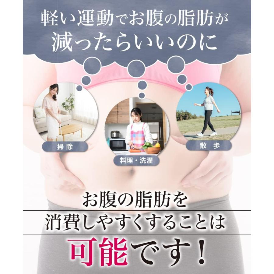 体脂サポート 90日分 180粒 お腹の脂肪を減らす 内臓脂肪 皮下 体脂サポート 90日分 180粒 お腹の脂肪を減らす 内臓脂肪 皮下