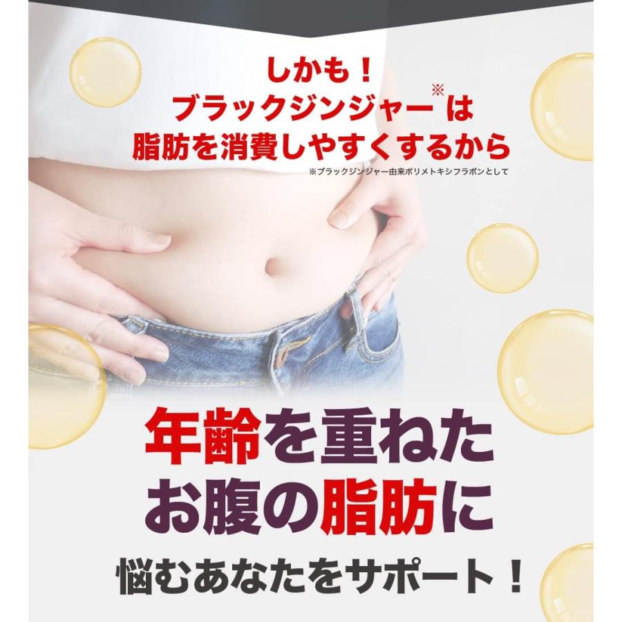 体脂サポート 90日分 180粒 お腹の脂肪を減らす 内臓脂肪 皮下 体脂サポート 90日分 180粒 お腹の脂肪を減らす 内臓脂肪 皮下