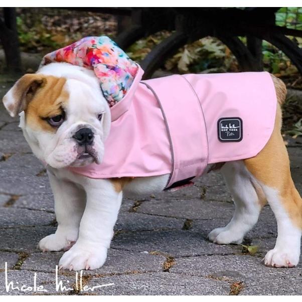 最安値で Xs L Raincoat Dog Pink コスチューム ファッション 犬 猫 Apparel Club Cat American Raincoat Pet Floral Miller Nicole By Dogs For 猫服 アクセサリー Smssvg Org