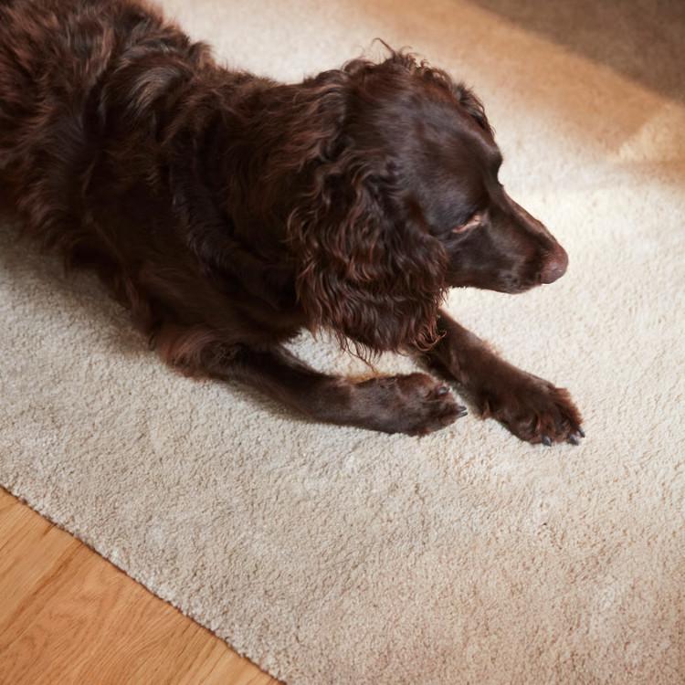 イケア（IKEA） IKEA - - STOENSE -ストエンセ- ラグ パイル短 絨毯