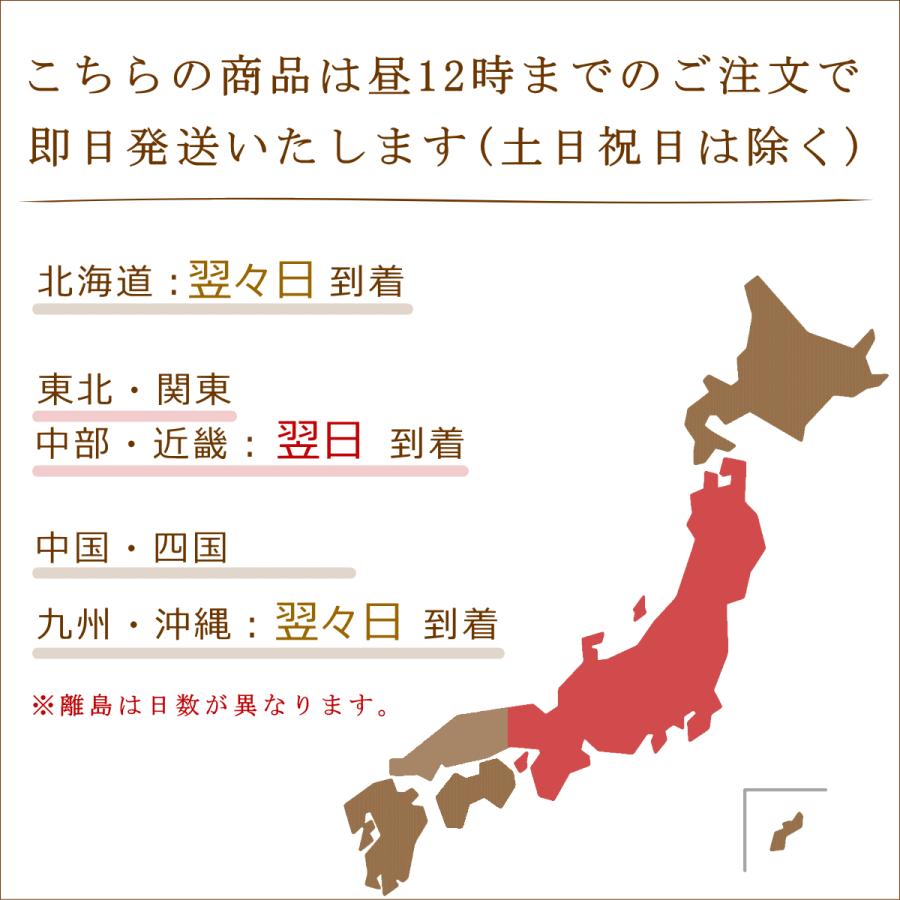ネックレス レディース 18金 K18 18k プレゼント 記念日 誕生日 30代 40代 50代 60代 彼女 妻 女性「アンフィニ」の画像