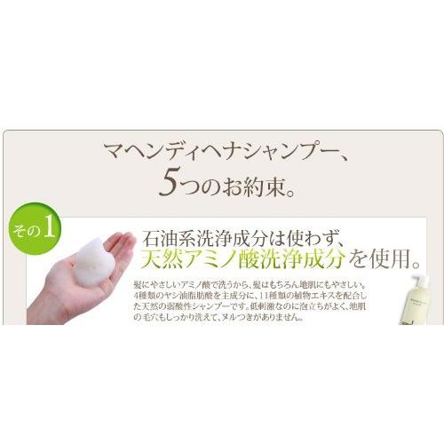 【20ml×2本付】マヘンディ ヘナシャンプー 500ml+インタークリスティーヌオリジナルのマヘンディリーフレット｜polupolu-shop｜04