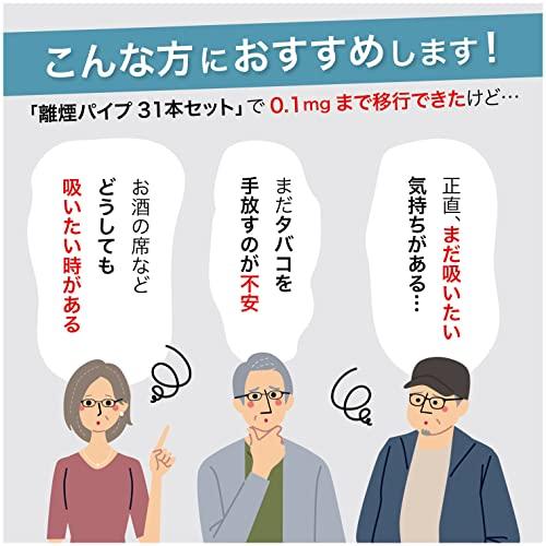 Rien pipe キープパイプ GR ( 10 本 セット / レギュラータイプ) 禁煙グッズ 減煙 ( ニコチン / タール カット ) 7.8m｜polupolu-shop｜03