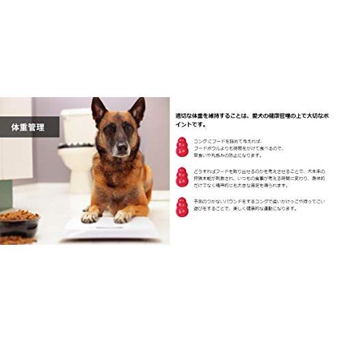 Kong(コング) 犬用おもちゃ コング 赤 超小型犬用 XS サイズ×2個(まとめ買い)｜polupolu-shop｜09