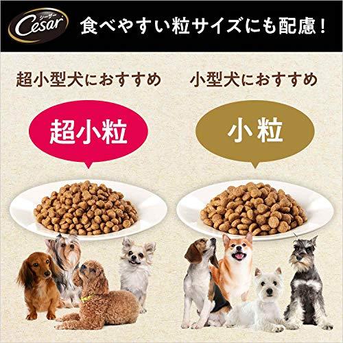 シーザードライ 成犬用 小粒 ドッグフード ラムと4種の農園野菜入り 3)3kg (大容量)｜polupolu-shop｜06