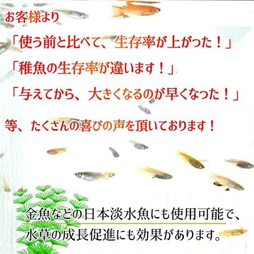 めだか成魚のためのウォーターフード 3倍濃縮タイプ (200mlx1本)｜polupolu-shop｜05