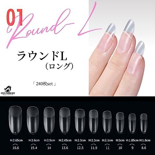 COLORBIRD ネイルチップ 超薄 ロング クリア 240枚 夏 サンディング 自然なフィット感 つけ爪 (ラウンドL, 240pcs)｜polupolu-shop｜02