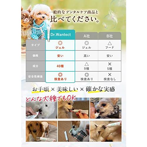 Ｄｒ．Ｗａｎｔｅｃｔ 犬用 歯磨きジェル 犬 歯磨き 歯磨き粉 デンタルケア 歯石取り 歯垢除去 口臭ケア ドクターワンテクト 23g｜polupolu-shop｜04