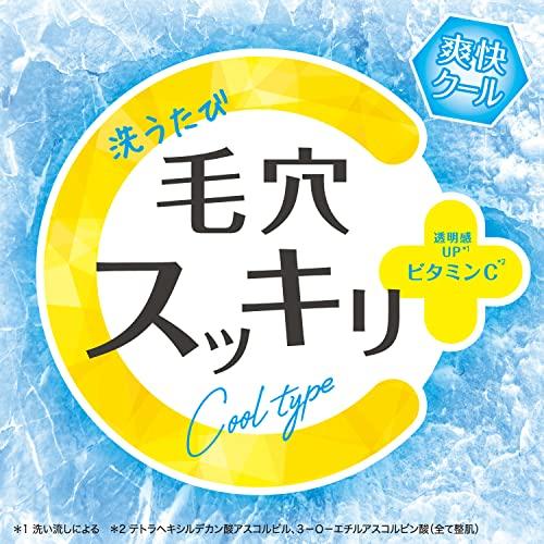 クレンジングリサーチ ウォッシュクレンジングC クール【3in1:メイク落とし+洗顔+角質ケア】毛穴の奥から 素肌リニューアル｜polupolu-shop｜02