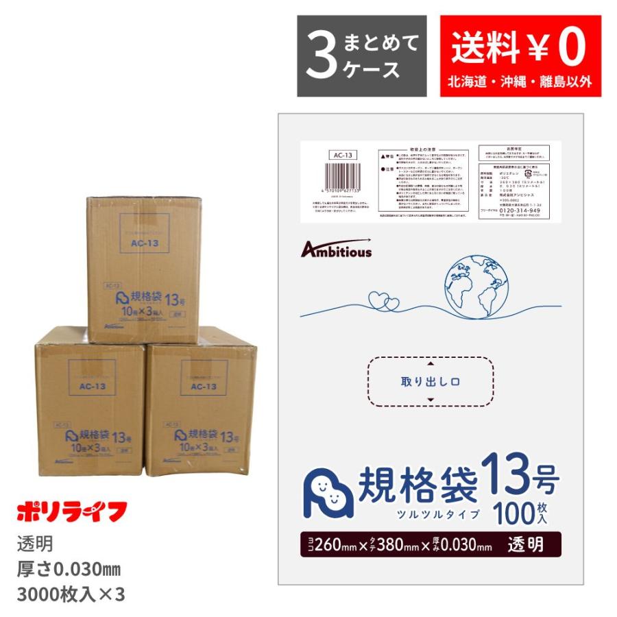 専用　３袋 規格袋 13号 透明 100枚×30冊x3ケース(合計 9000枚)0.030mm厚 1冊