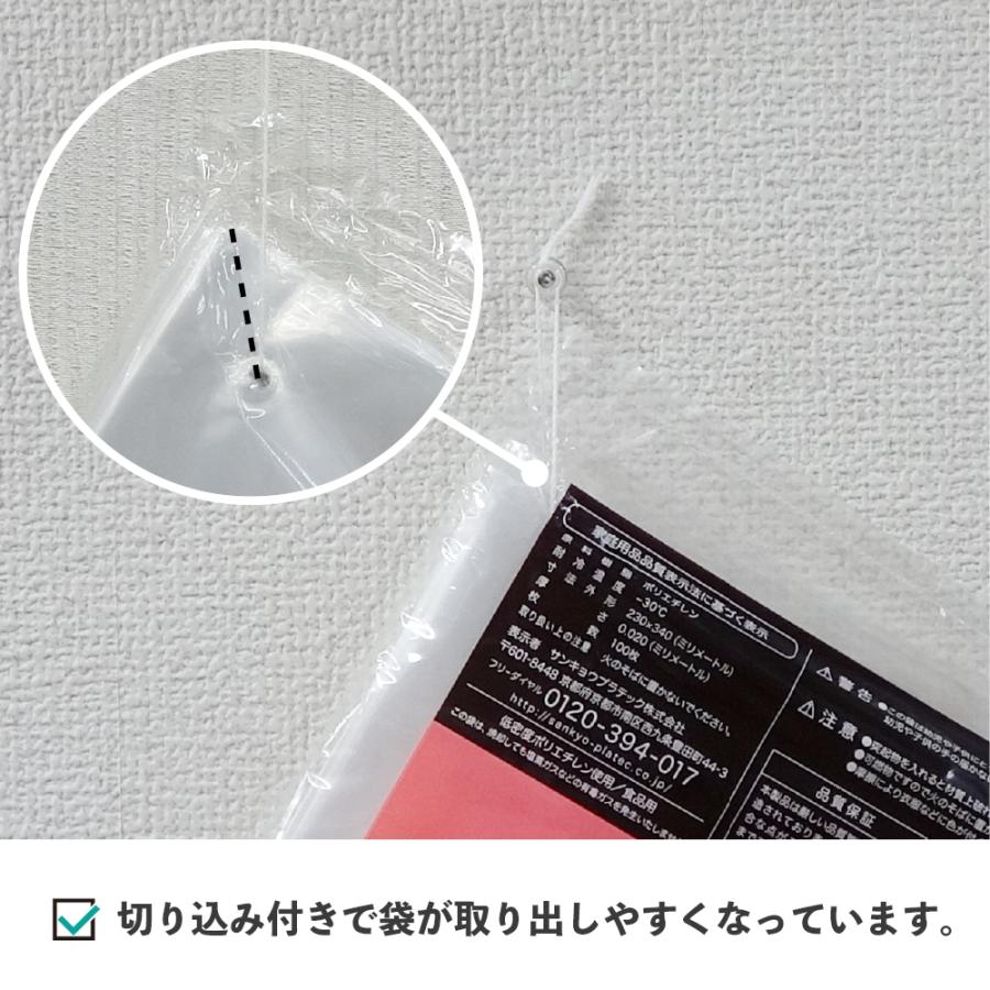 ひも付 規格袋 10号 18x27cm 0.020mm厚 透明 100枚x100冊 FBH-10 食品検査適合 RoHS指定 サンキョウプラテック | サンキョウプラテック | 04