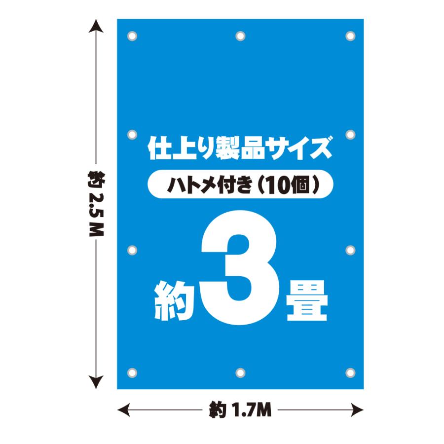 ブルーシート#3000 厚手 青 1.8x2.7M 1枚x30冊/ベール 約3畳用 ハトメ
