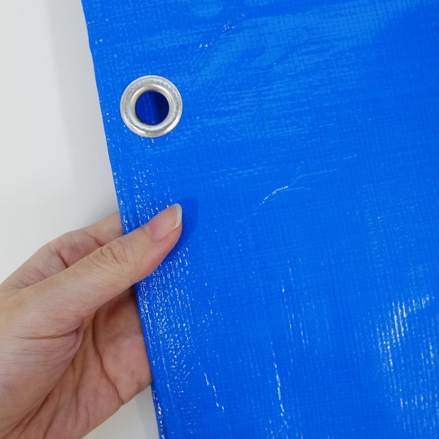 ブルーシート#3000 厚手 青 10.0x10.0M 1枚 約60畳用 ハトメ数44個 BS