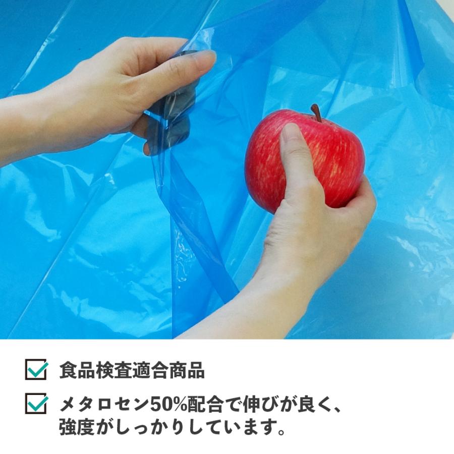 サンキョウプラテック（SANKYO PLATEC） ゴミ袋 70L 青半透明 80x90cm