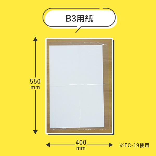 規格袋 19号 40x55cm 0.030mm厚 透明 100枚x20冊x3箱 FC-19-3 食品検査適合 RoHS指定 サンキョウプラテック