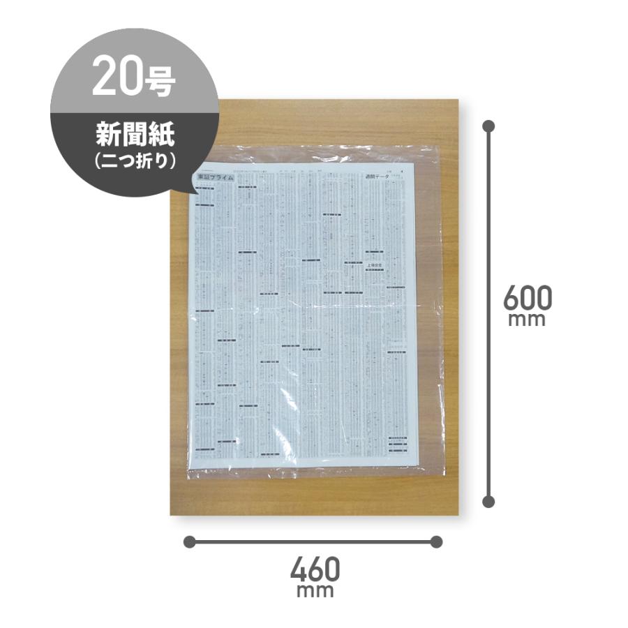 ひも付 規格袋 20号 46x60cm 0.030mm厚 透明 100枚x10冊 FCH-20 食品検査適合 RoHS指定 サンキョウプラテック_1