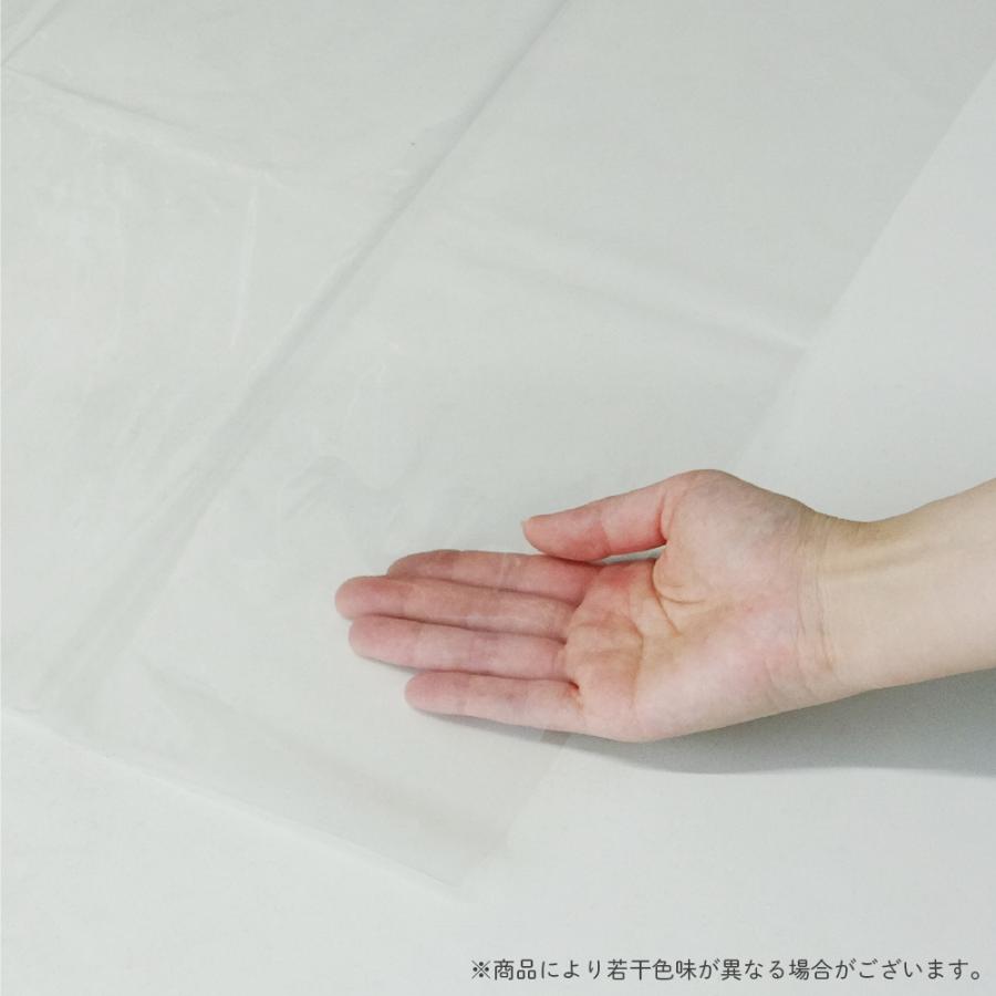 ゴミ袋 120L 透明 100x120cm 0.030mm厚 10枚 LN-123bara 大型ポリ袋 サンキョウプラテック | サンキョウプラテック | 01