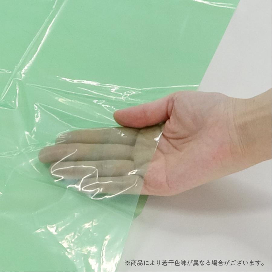 尼崎市 指定 ゴミ袋 家庭用 45L グリーン 65x80cm 0.030mm厚 10枚 SAM-45bara サンキョウプラテック | サンキョウプラテック | 01