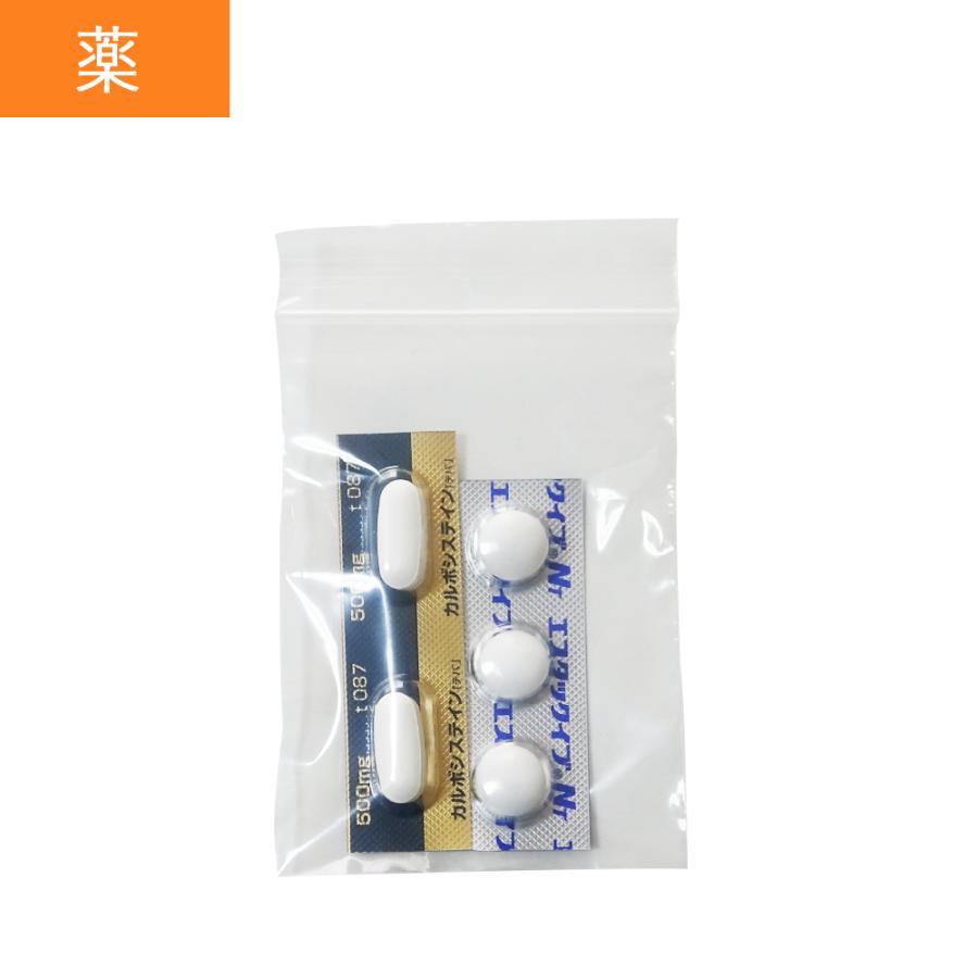 サンキョウプラテック（SANKYO PLATEC） チャック付きポリ袋 A8サイズ