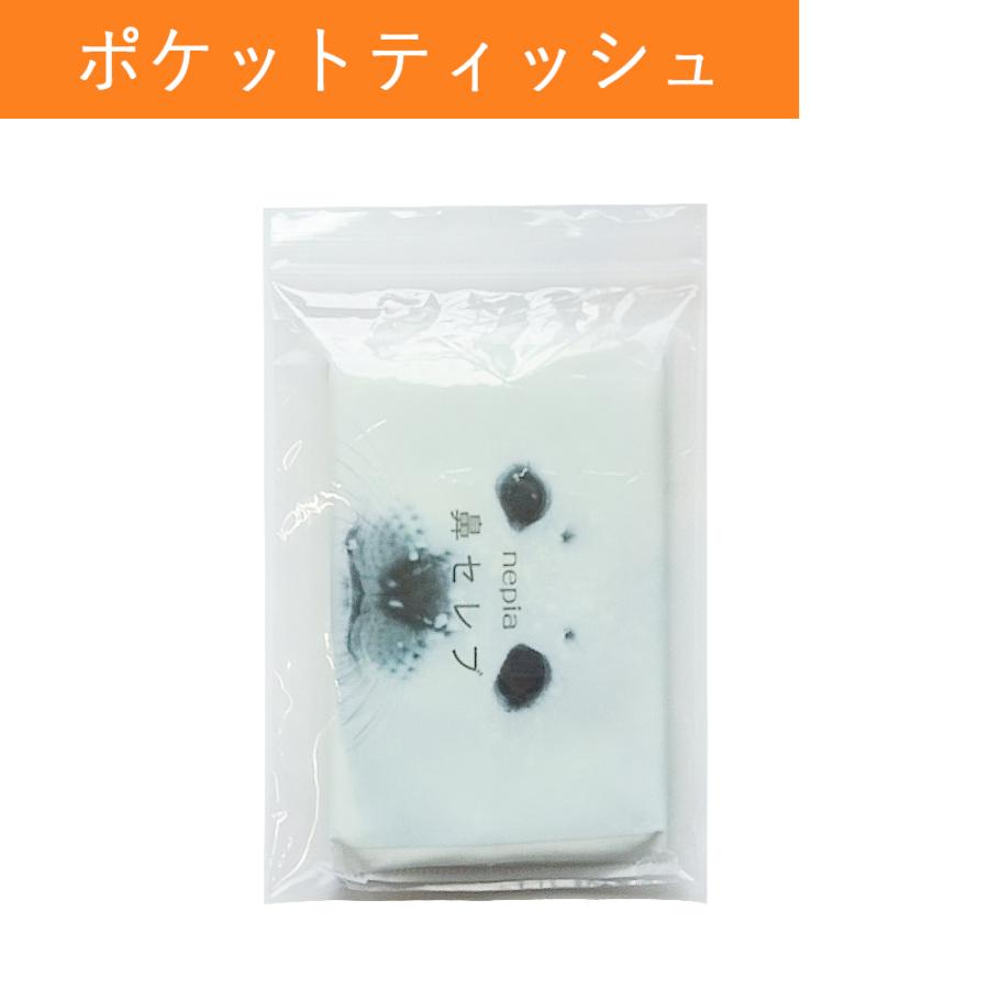 チャック付きポリ袋 B7サイズ 透明 10x14cm 0.040mm厚 200枚x40冊 ZE-04 サンキョウプラテック_3