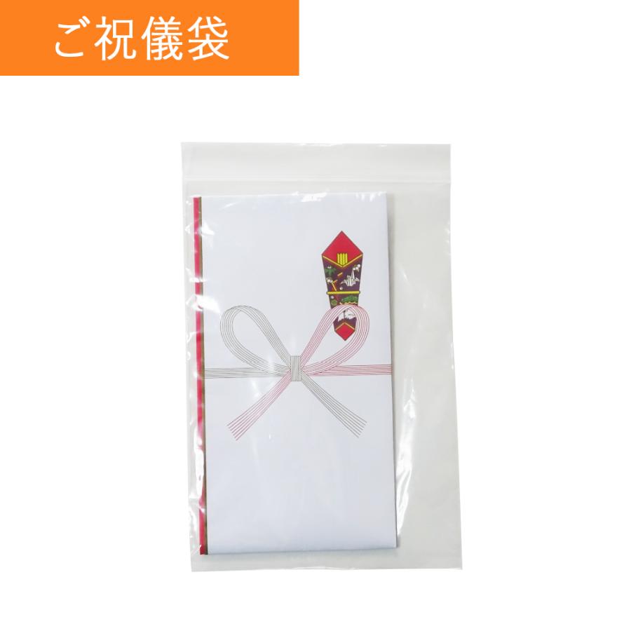 サンキョウプラテック（SANKYO PLATEC） チャック付きポリ袋 B6サイズ