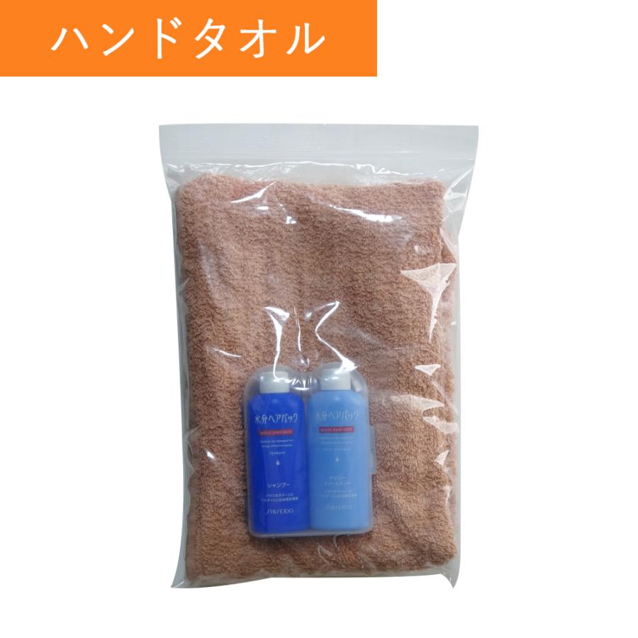 サンキョウプラテック（SANKYO PLATEC） チャック付きポリ袋 B5サイズ