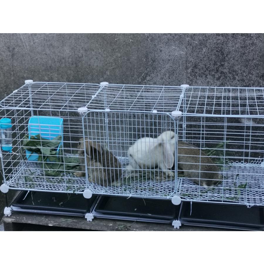即納】日本在庫 大きい兎 ケージ, 小動物うさぎ ケージ ケージ, 水飲み器、草の巣、フードラック、車輪の留め金、フットパッド、トレイ、ケーブルタイ :lcw0432:POLYCITY - 通販 - Yahoo!ショッピング 即納】日本在庫 大きい兎 ケージ, 小動物うさぎ ケージ ケージ, 水飲み器、草の巣、フードラック、車輪の留め金、フットパッド、トレイ、ケーブルタイ :lcw0432:POLYCITY - 通販 - Yahoo!ショッピング