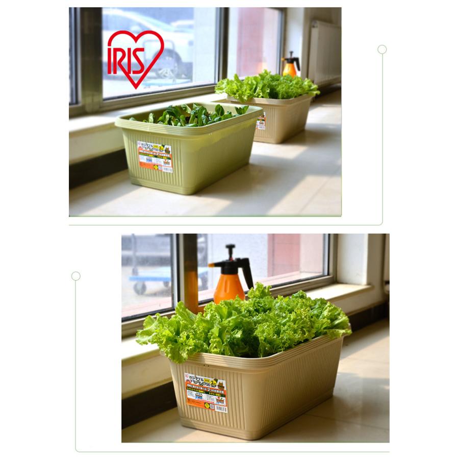100均ダイソーのプランター11選 大型やミニサイズ 野菜向けの植木鉢など Limia リミア 長方形の大きな野菜ポットプラスチック植木鉢 1個 グリーン Studio Ellis Be