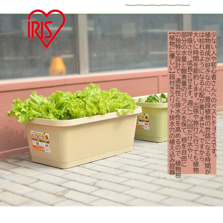 プラスチック製 植木鉢 長方形 プランター ハーブ 大型 フラワーポット さ70cm Yj 007ならショッピング ランキングや口コミも豊富なネット通販 更にお得なpaypay残高も スマホアプリも充実で毎日どこからでも気になる商品をその場でお求めいただけます 花