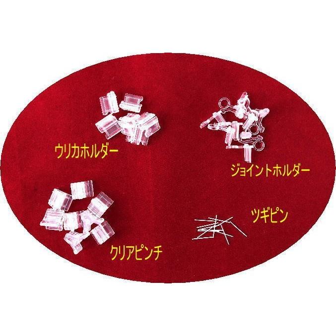 接ぎ木おためしセット(2) 100個セット : ポリマルシェ - 通販 - Yahoo 【無農薬】ヘーゼルナッツ 穂木挿し木用★100本以上　送料込み