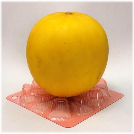 黄色の丸形果物 フルーツマットのおためしセット「のっけてみる？」25個セット 野菜の