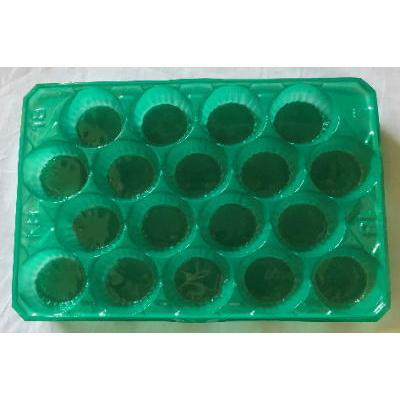 なしパック（PET　出荷用）40枚　 |  | 03