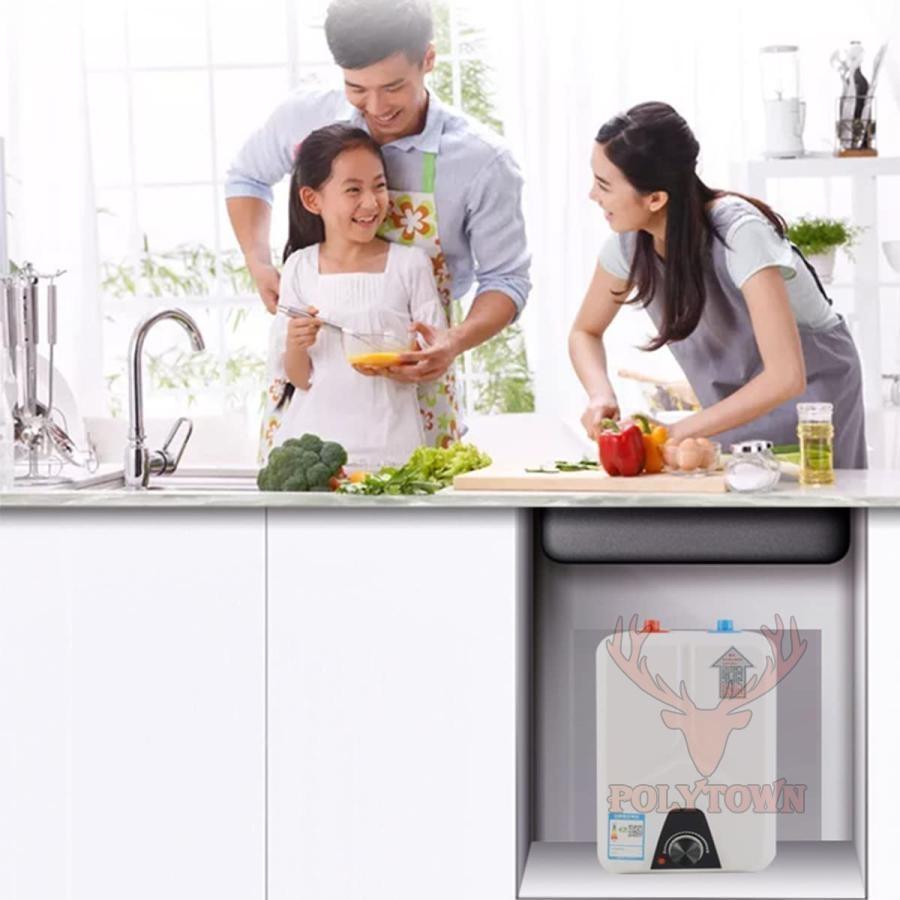 電気給湯器 電気温水器 ミニ小型電気温水ヒーター インスタント温水器5  