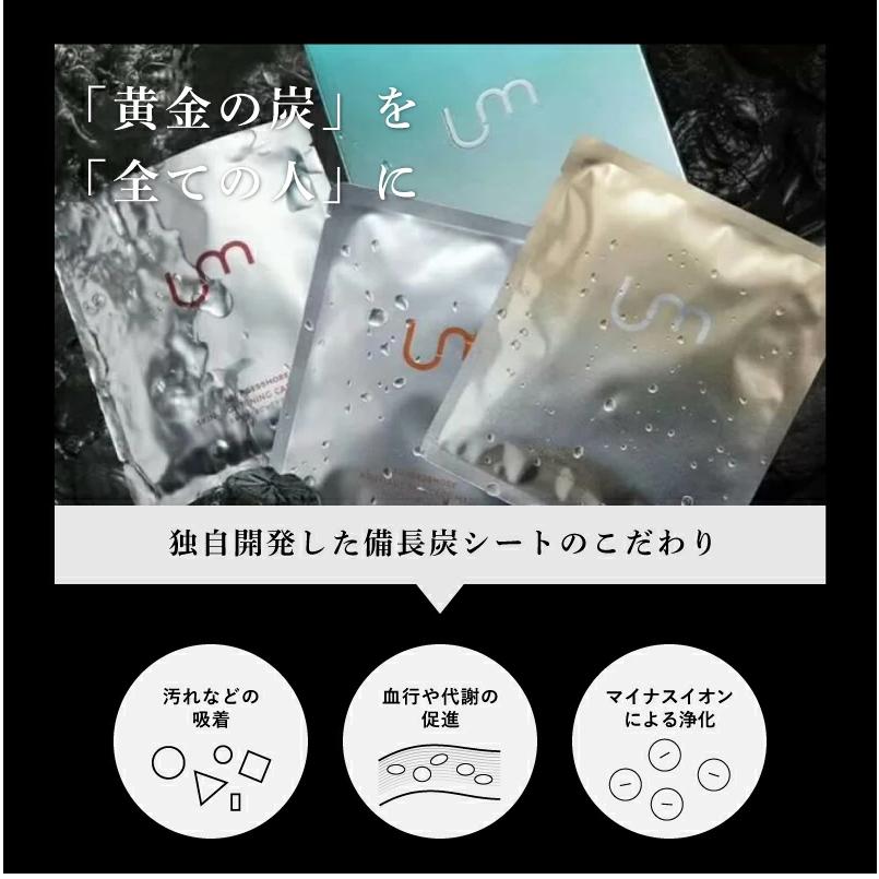 高級パック10枚セット】各4種詰め合わせマスク10枚セット 個包装