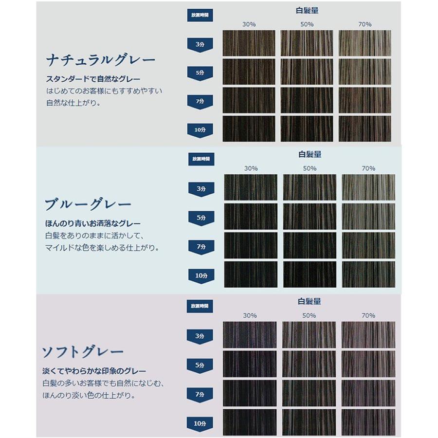 ホーユー　カレンシアカラー72本 hoyu ホーユー カレンシアカラー ブルーグレー 80g 白髪ぼかし 1剤