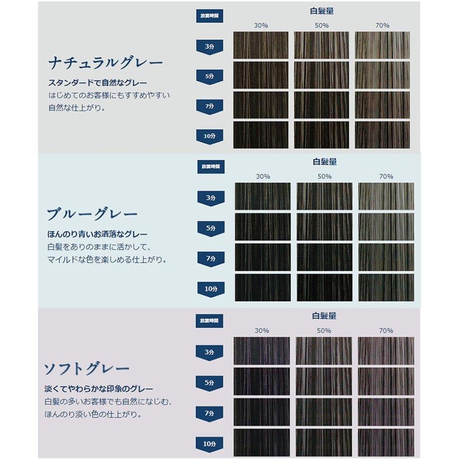 hoyu（ホーユー） カレンシアカラー ソフトグレー 80g 白髪ぼかし 1剤